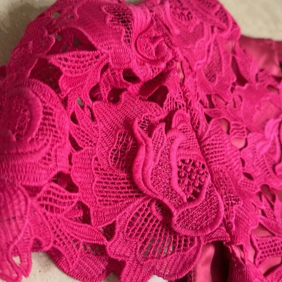 Milly Women's Round Neck Cap Sleeves Lined Lace Blouse Pink Size M - Picture 9 of 9